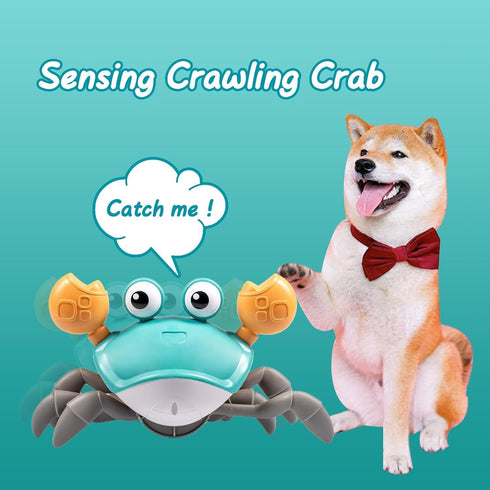 Dog Toys Escaping Crab Crawling Toy with Music Control & Lights, Dancing Crab Interactive Fun for Small Dogs