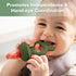 Haakaa Baby Fruit Food Feeder & Mini Freezer Nibble Tray Combo - BPA Free Silicone for Infant Feeding