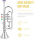 Trumpet Musical Wind Model - Trumpet Horn Toy for Performance Prop and Early Education
