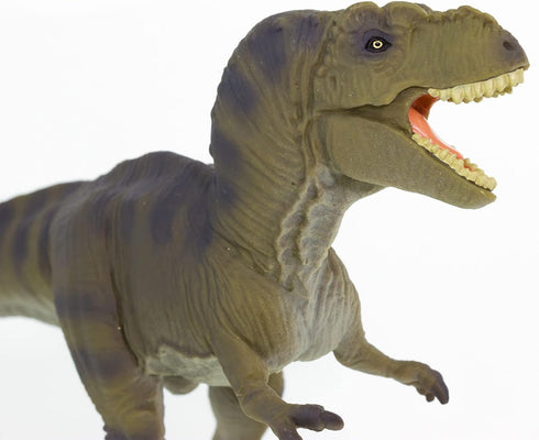 7" 3+ Safari Ltd. Tyrannosaurus Rex Figurine - Detailed Dinosaur Figure - Educational Toy for Boys, Girls, and Kids