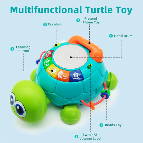 6 12 7 8 9 10 11 1-2 Ussybaby Baby Crawling Toys to Months, Infant Turtle Musical Toys with Phone Hand DrumBaby Months