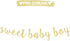 LINGTEER Sweet Baby Boy Gold Glitter Bunting Banner, Perfect for Baby Shower First Birthday Decorations