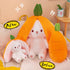 MIAODAM 10-Inch Cuddly Bunny Stuffed Animal, Kawaii Plush Rabbit Doll with Carrot Strawberry Pillow for Baby