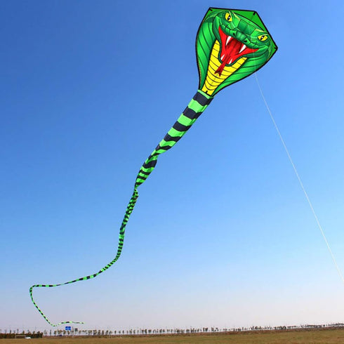 HENGDA KITE Large Power Snake Kites with Flying Line - Outdoor Fun Sports Kite