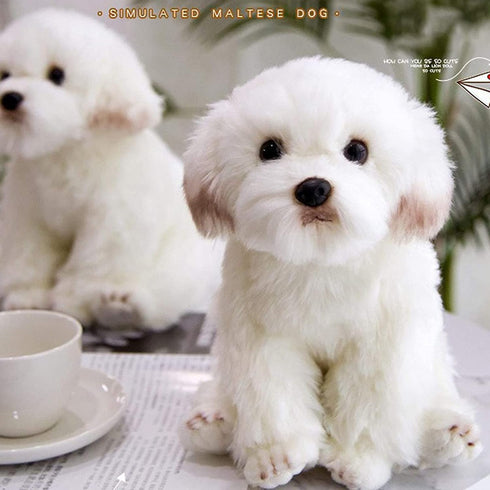 14" Realistic Plush Maltese Dog - Stuffed Animal Puppy Dog Toys - Soft Plush Pillow for Kids and Adults