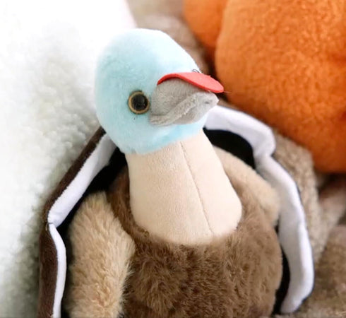 9 inches The Petting Zoo Turkey Stuffed Animal Plushie, Gifts for Kids, Wild Onez Wildlife Animals, Turkey Plush Toy