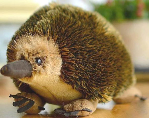 Lifelike Echidna Plush Stuffed Animal Toy, Echidna Animal Model (20CM)