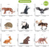 Volnau Safari Animal Figurines Toys, 9PCS Eurasia Figures for Toddlers, Kids Christmas Decoration Gift