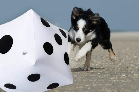 13 inch Giant Inflatable Dice Pool Toy - Pack of 2 for Lawn Game Outdoor Floor Games