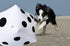 13 inch Giant Inflatable Dice Pool Toy - Pack of 2 for Lawn Game Outdoor Floor Games