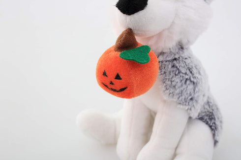 Plushland Halloween Pawpals 8 Inch Puppy Dog Plush Toy with Hat and Jack O Lantern for Kids