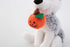 Plushland Halloween Pawpals 8 Inch Puppy Dog Plush Toy with Hat and Jack O Lantern for Kids