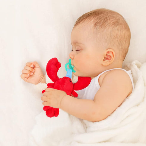 NiBaby 0+ Pacifier with Infant Plush Pacifier Holder, BPA Free Silicone Teether Soothie Snuggle Pacifier