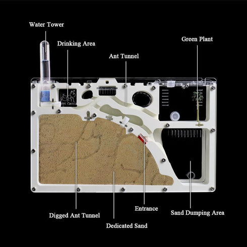 Ant Farm Castle - Ant Farms with Yellow Sand and Tool Kit for Kids, Educational Observation Habitat Science Kit