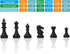 Magnetic Travel Chess Set with Folding Board - Educational Toys for Kids and Adults, 2 Players