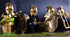 Elf Metallic Gold and Rose Gold Lances, Bows, Sword, Helm and Armour for Major Brand Building Block Minifigures (72 PCS)