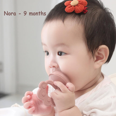 (Set 2), 4 Ginbear Silicone Baby Fruit Food Feeder & Freezer Tray of Infant Teething Feeder Pacifiers with Baby