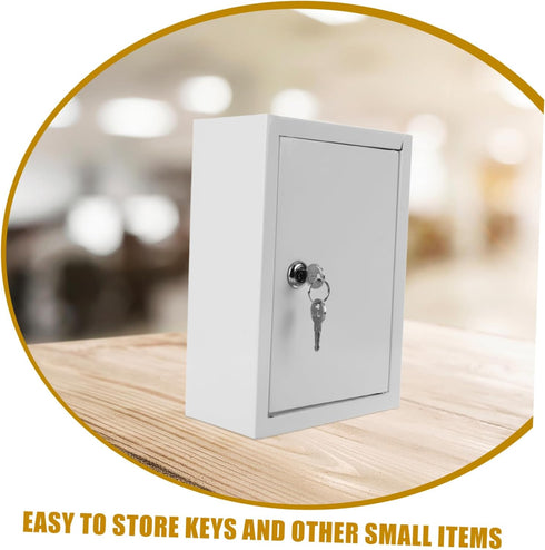Package SOLUSTRE Wall Mounted Milk Storage Organizer Box with Lock and Simple Style Milk Bottle Case for Secure