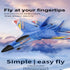 RC Plane Su-27 Ready to Fly, 2 Channel 2.4GHZ Remote Control Airplane, RC Aircraft for Boys Girls Adults Beginners