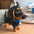 Building Block Animal Dogs, 2100 Pieces Micro Mini Block Dog Set, DIY 3D Toy for Kids or Adults