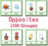Zwttey 100 Groups English Antonyms Flashcards, Building Vocabulary Pocket Cards, Educational Learning Toys,