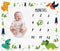 Baby Monthly Milestone Blanket Boy - Dinosaur Neutral Newborn Month Blanket for