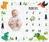 Baby Monthly Milestone Blanket Boy - Dinosaur Neutral Newborn Month Blanket for