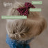Parker Baby Girl Bows Clips, Assorted 10 Pack of Hair Accessories for Girls, "The Anne Set"