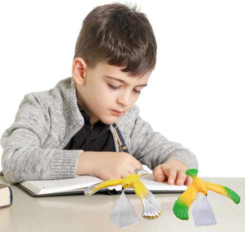4PCS Balance Bird Gravity Toy with Pyramid Combination, Physics Toy for Science Lovers of All Ages