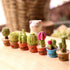 7 in 1 Dollhouse Decoration, Miniature Green Potted Plant Pots, 1:12 Scale Doll House Bonsai Model Accessories (7