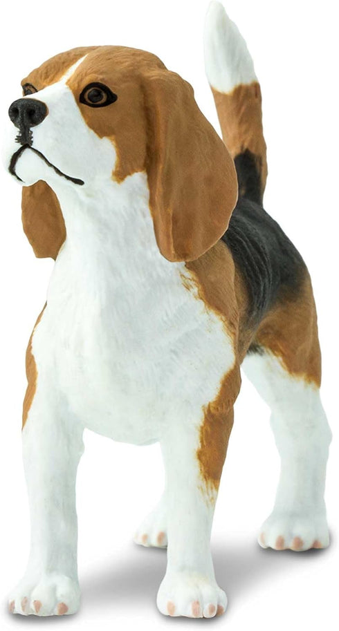 2.5" 3+ Safari Ltd. Beagle Figurine - Detailed Plastic Model Figure - Fun Educational Play Toy for Boys, Girls & Kids