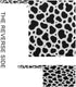 Haskirky 2 Cow Print Black White Pcs Cloth Diaper Wet Dry Bags,Waterproof and Washable Bag for Travel Reusable Wet Bag