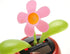 PowerTRC Dancing Flower | Solar Powered Desk, Window, or Car Decoration Gift Toy | Fun Swinging Flower, No Batteries