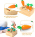 Ancaixin Montessori Toys for Babies 6-12 Months, Educational Carrot Harvest Toy, Wooden Shape Sorting Puzzle Gifts