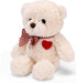 Small White Teddy Bear with Heart - Cute Valentine's Day Soft Stuffed Bear Plushie