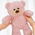 Gjlzfwbx 10inches Teddy Bear Plush Toy, Teddy Bear Stuffed Animal Birthday for Kids Girl Friends (Pink)