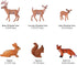 Animal Figures 6pcs - Plastic Woodland Animals Action Model for Science Project, Learning Educational Toys, Birthday