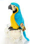 Cute Rabbit 12 inch Macaw Parrot Plush Toy, Stuffed Animal Doll (Blue)