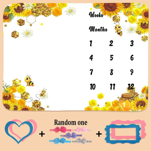 Baby Monthly Milestone Blanket, Sunflower Bee Honeycomb Design, 1 to 12 Months Unisex with 4 Frames