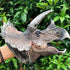 Gemini&Genius Large Triceratops Dinosaur Hand Puppets, Realistic Soft Rubber Dino Head Role Play Toy for Kids and