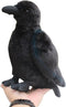 Realistic Crow Plush, Cute Black Raven Stuffed Animal, 9.44'' Soft Little Bird Toys for Kids Gifts