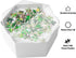 Becko US Stackable Puzzle Sorting Trays - Jigsaw Puzzle Sorters with Lid for Puzzles Up to 1500 Pieces, 8 Hexagonal