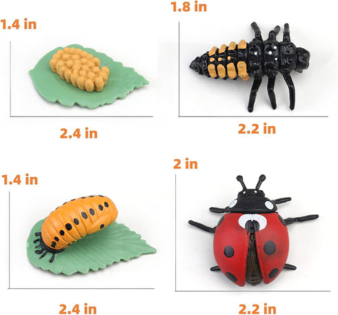MIKNEKE 3+ Montessori Life Cycle Animal Figures with Flash Cards, Realistic Animal Figurines Toy, Educational Matching