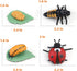 MIKNEKE 3+ Montessori Life Cycle Animal Figures with Flash Cards, Realistic Animal Figurines Toy, Educational Matching