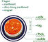 magdum 22 Solar System Fridge Magnets for Kids - - Realistic Space Magnets for Toddlers - Real Refrigerator Magnets