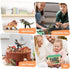 OENUX Dinosaur Toys for Kids 3-5, 12pcs Realistic Jurassic Figures Playset with Educational Booklet for Boys Girls