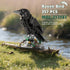 12+ (357 Raven Bird Mini Building Blocks and Construction Toy, Collectible Animal -Themed Model to Build and Display