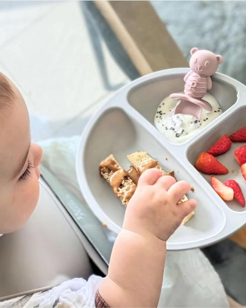 PandaEar Silicone Baby Feeding Set, 2 Pack Divided Suction Plate with 2 Pack Spoons, Baby Led Weaning Supplies