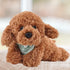 Dog Stuffed Animal, Golden Doodle Puppy Plush Toy, 11 Inches, Realist Weighted Soft Gift for Kids (Brown Color)