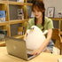 26/40cm Simulation Mother Hen Doll, Funny Fat Chicken Plush Toy, Cute Cartoon Chicken Pillow Gift